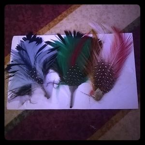 Hat/hair feathers